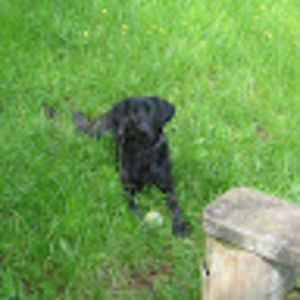 Meet your Posher, Diane